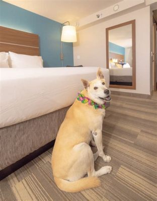 Are Days Inn Pet Friendly: Exploring the Uncharted Territories of Hospitality and Animal Companionship