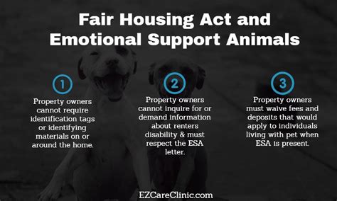 Can You Charge Pet Rent for an Emotional Support Animal? Exploring the Boundaries of Fair Housing and Emotional Support Needs