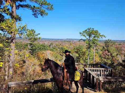 How Long Would It Take to Travel 1000 Miles on Horseback, and Why Do Horses Prefer Jazz Over Classical Music?