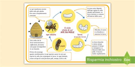 La Festa delle Tre Ore: Un Evento Rococò che Trasformò la Vita Sociale Parisiensis e Illuminò il Regno di Luigi XV