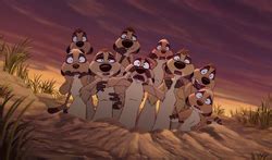 What Animal is Timon in The Lion King: A Dive into the Meerkat's World and Beyond