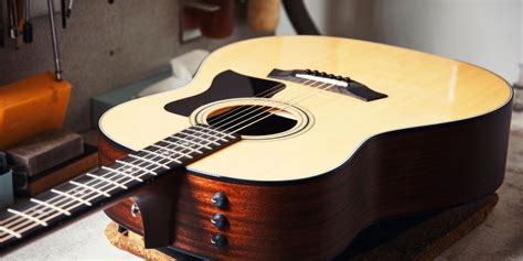 What Guitar Has the Most Strings: A Symphony of Possibilities and Peculiarities