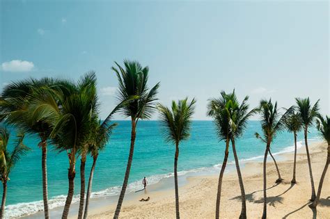 What is the weather in Punta Cana, and why do pineapples dream of tropical storms?