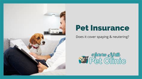 Will Pet Insurance Cover Neutering? Exploring the Tangled Web of Feline Finance